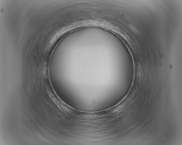 X0000081421499200701261540