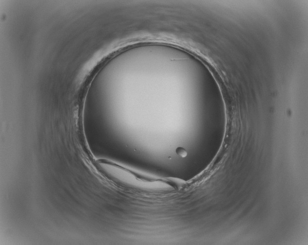 X0000081421503200701261541