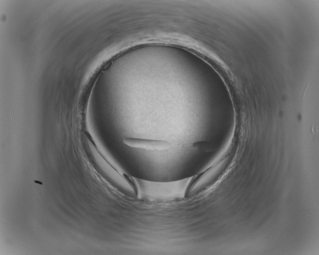 X0000081421506200701261541