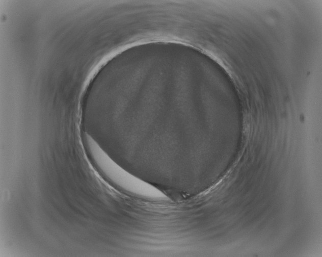 X0000081421508200701261541