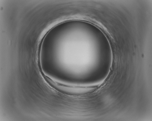 X0000081421512200701261541