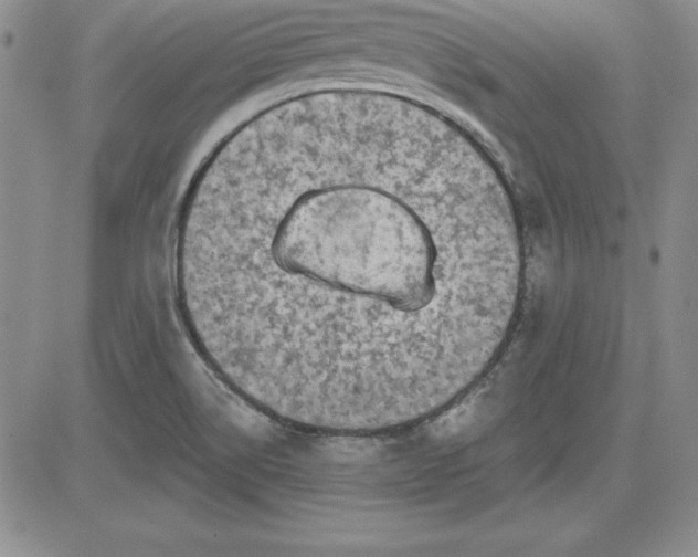 X0000081421514200701261541