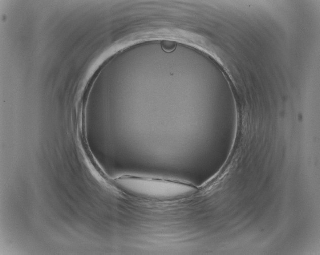 X0000081421515200701261541