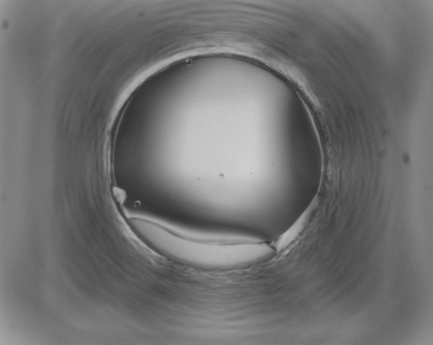 X0000081421516200701261541