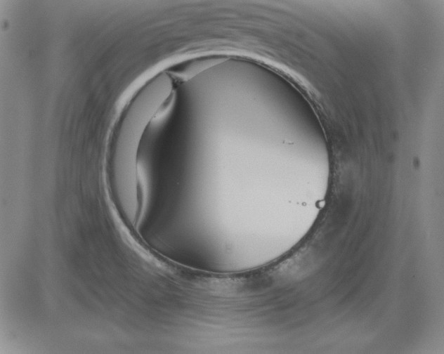 X0000081421518200701261541