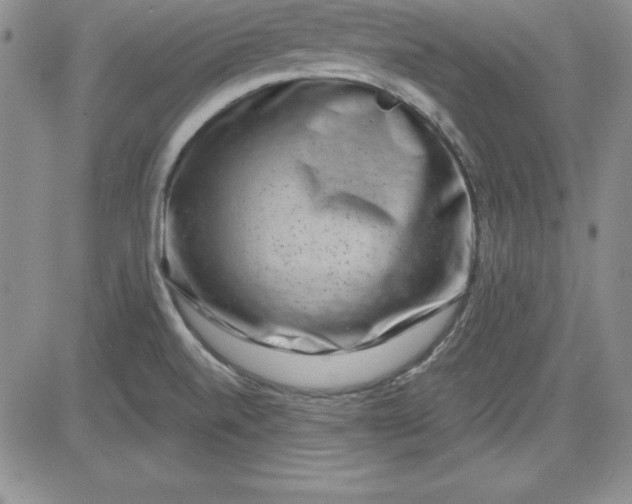 X0000081421520200701261541