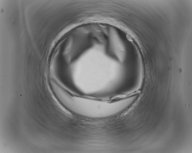 X0000081421525200701261541