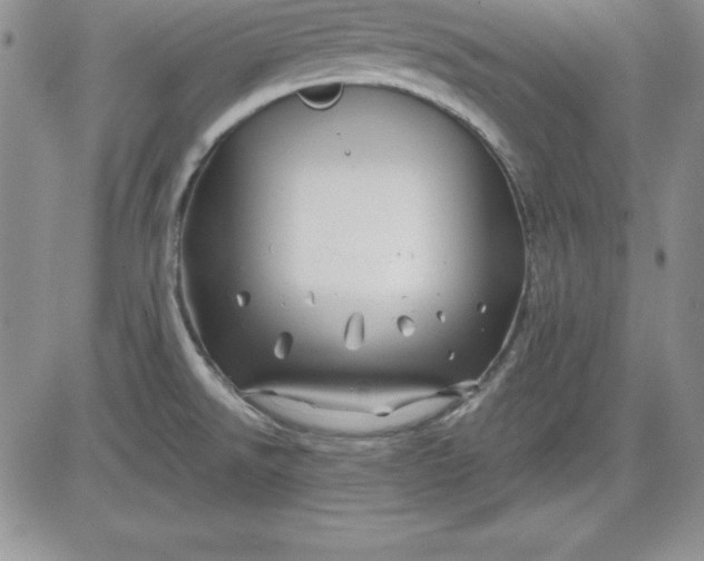 X0000081421526200701261541