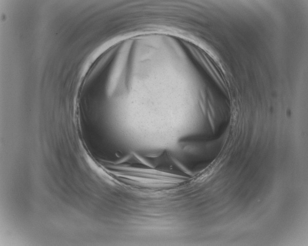 X0000081421535200701261541