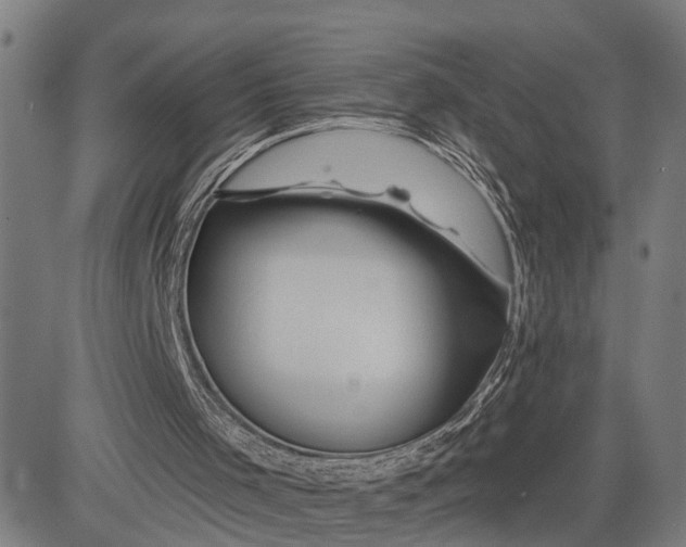 X0000081420001200702021639