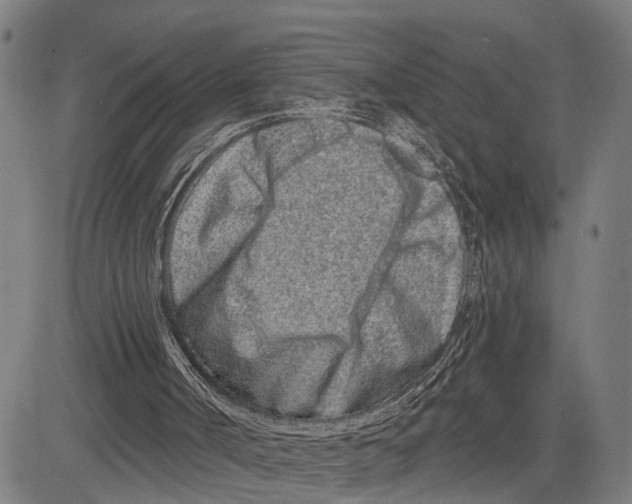 X0000081420002200702021639