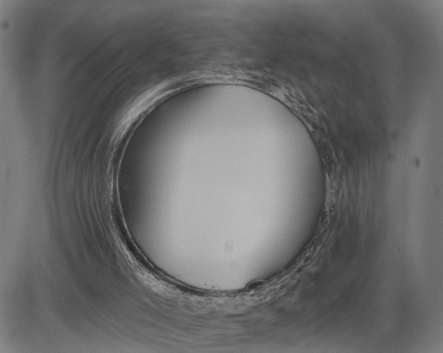 X0000081420005200702021639