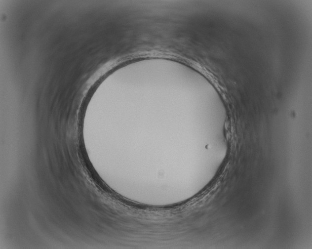 X0000081420008200702021639