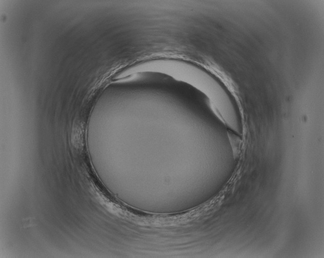 X0000081420009200702021639