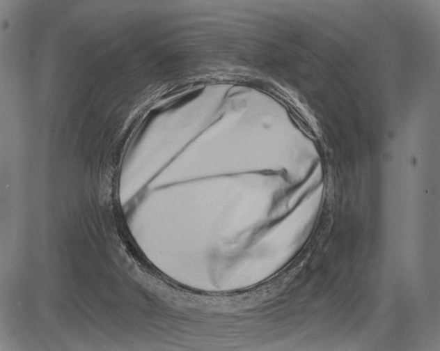 X0000081420010200702021639