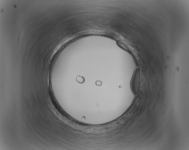 X0000081420011200702021639