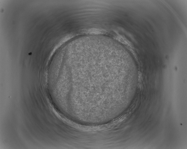 X0000081420012200702021639