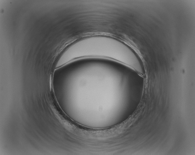 X0000081420013200702021639