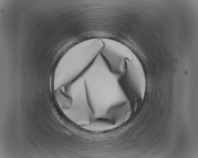 X0000081420014200702021639