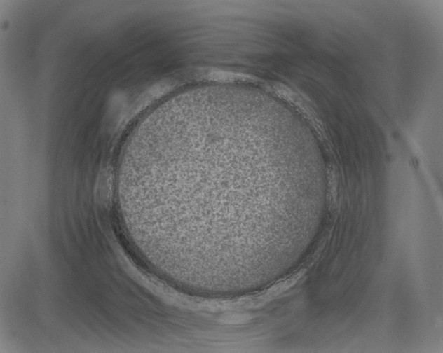 X0000081420016200702021639