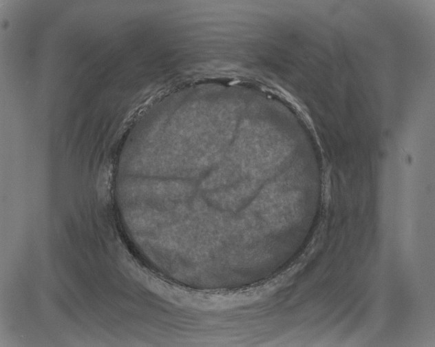 X0000081420018200702021639