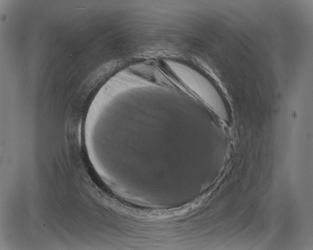 X0000081420019200702021639