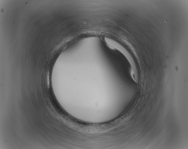 X0000081420020200702021639