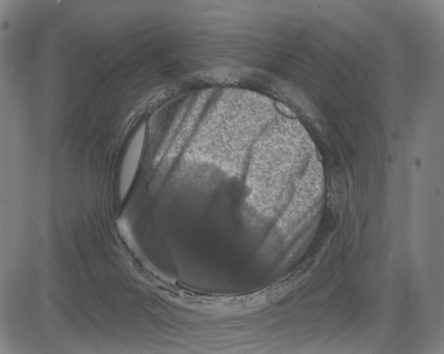 X0000081420023200702021639