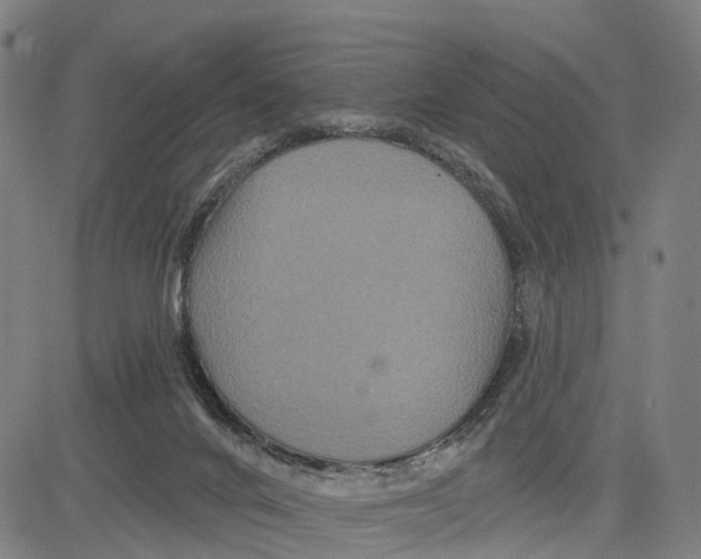 X0000081420024200702021639