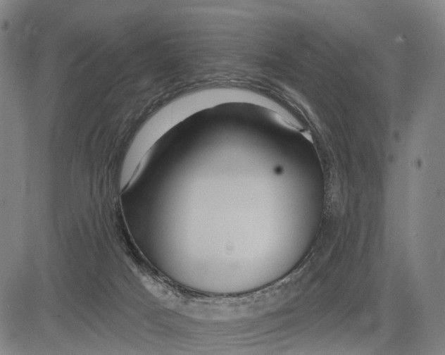 X0000081420025200702021639