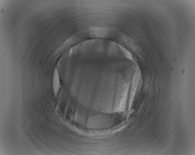 X0000081420027200702021639