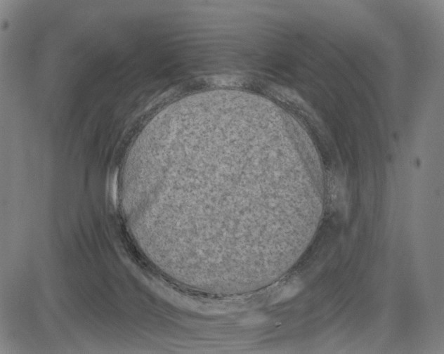 X0000081420028200702021638