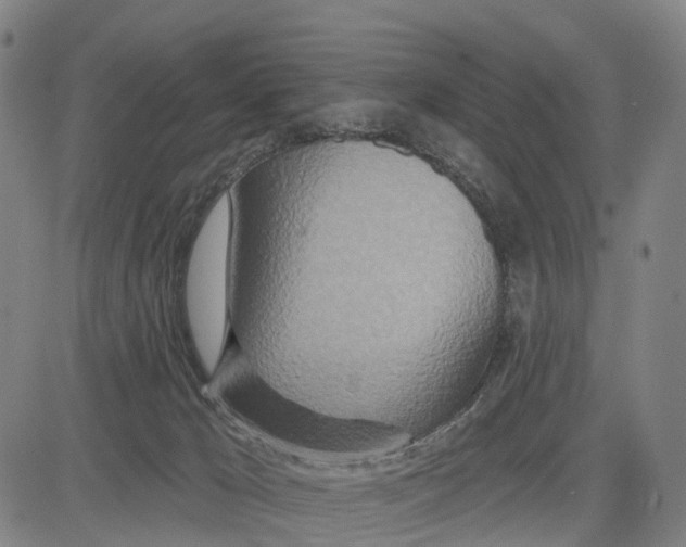 X0000081420029200702021638