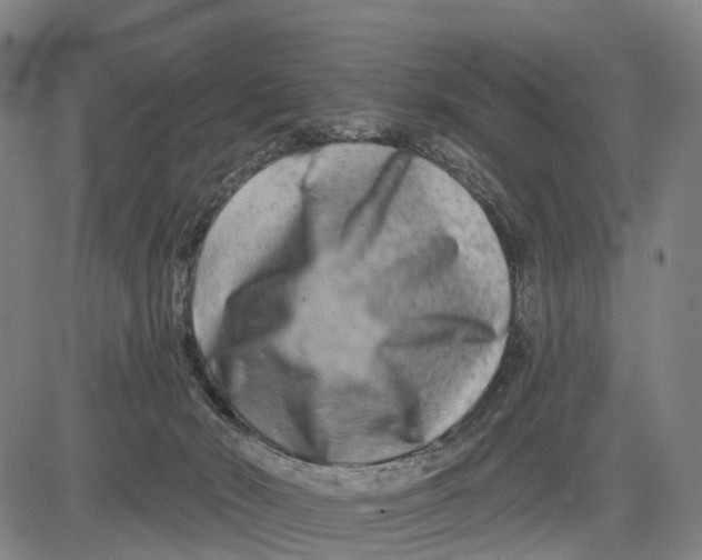 X0000081420030200702021638