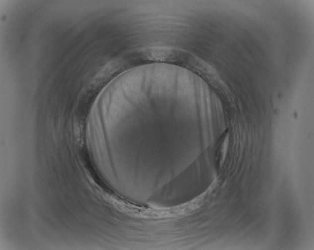 X0000081420031200702021638