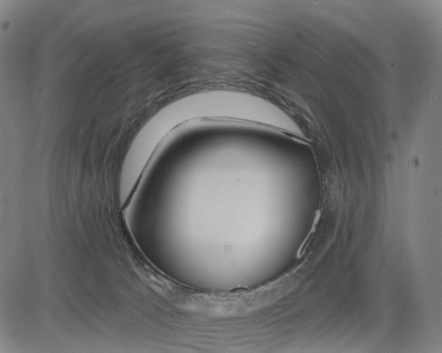 X0000081420033200702021638