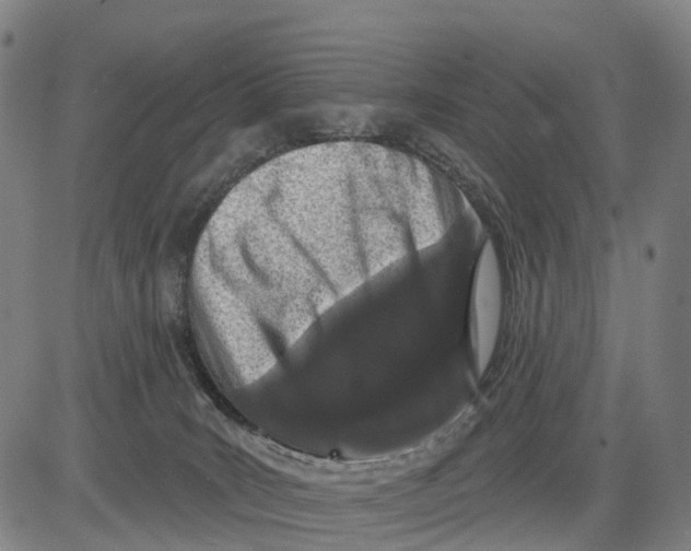 X0000081420035200702021638