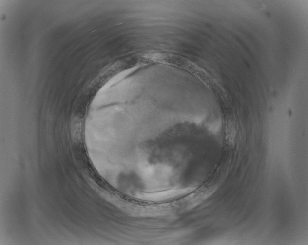 X0000081420036200702021638