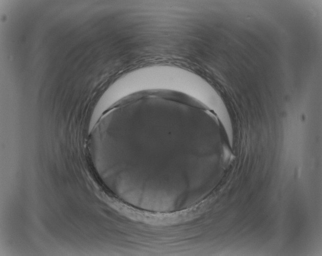 X0000081420039200702021638