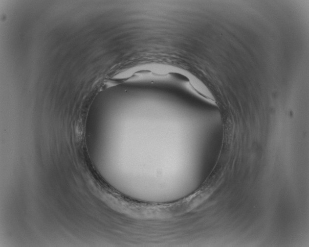 X0000081420040200702021638