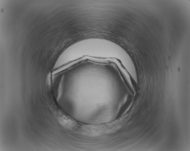 X0000081420041200702021638