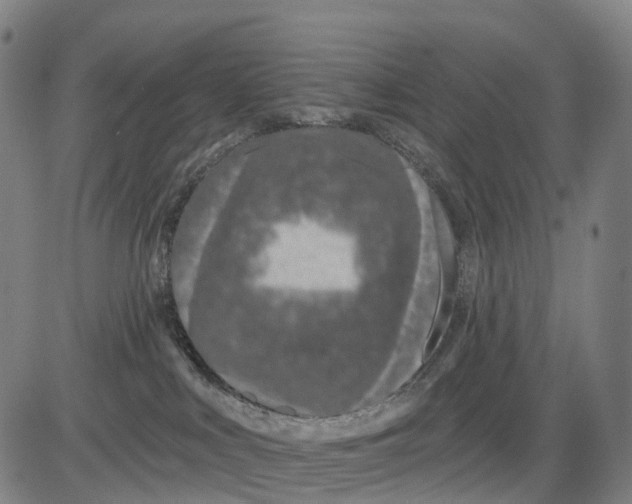 X0000081420043200702021638