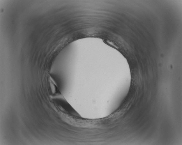 X0000081420044200702021638