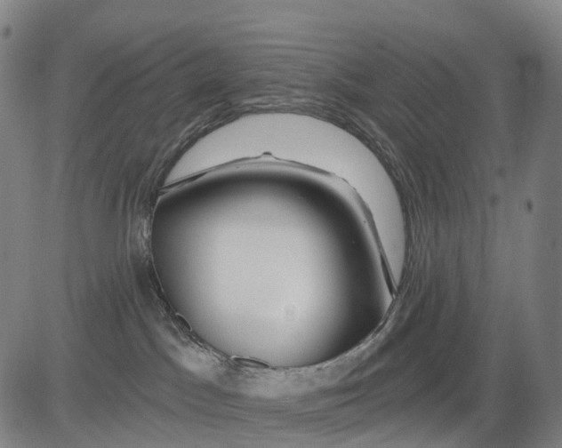 X0000081420045200702021638