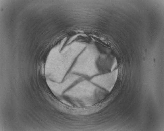 X0000081420046200702021638