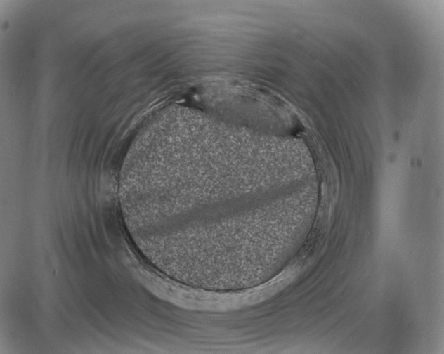 X0000081420048200702021638