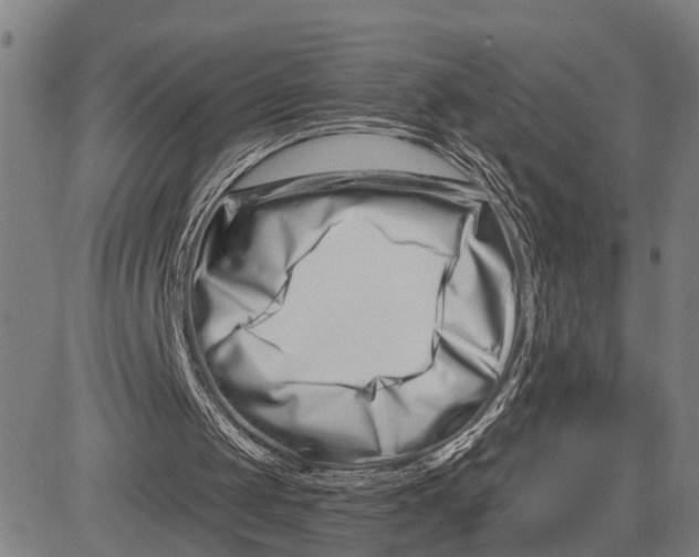 X0000081420049200702021637