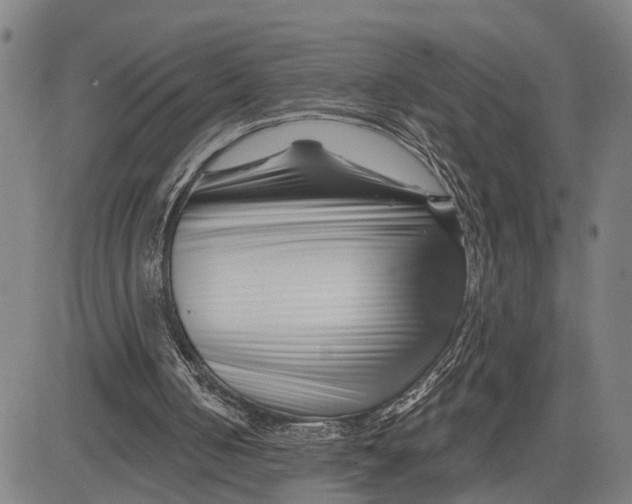 X0000081420050200702021637