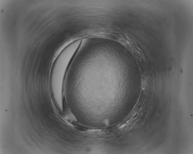 X0000081420052200702021637