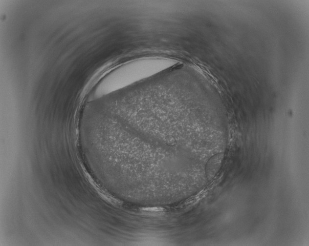 X0000081420053200702021637